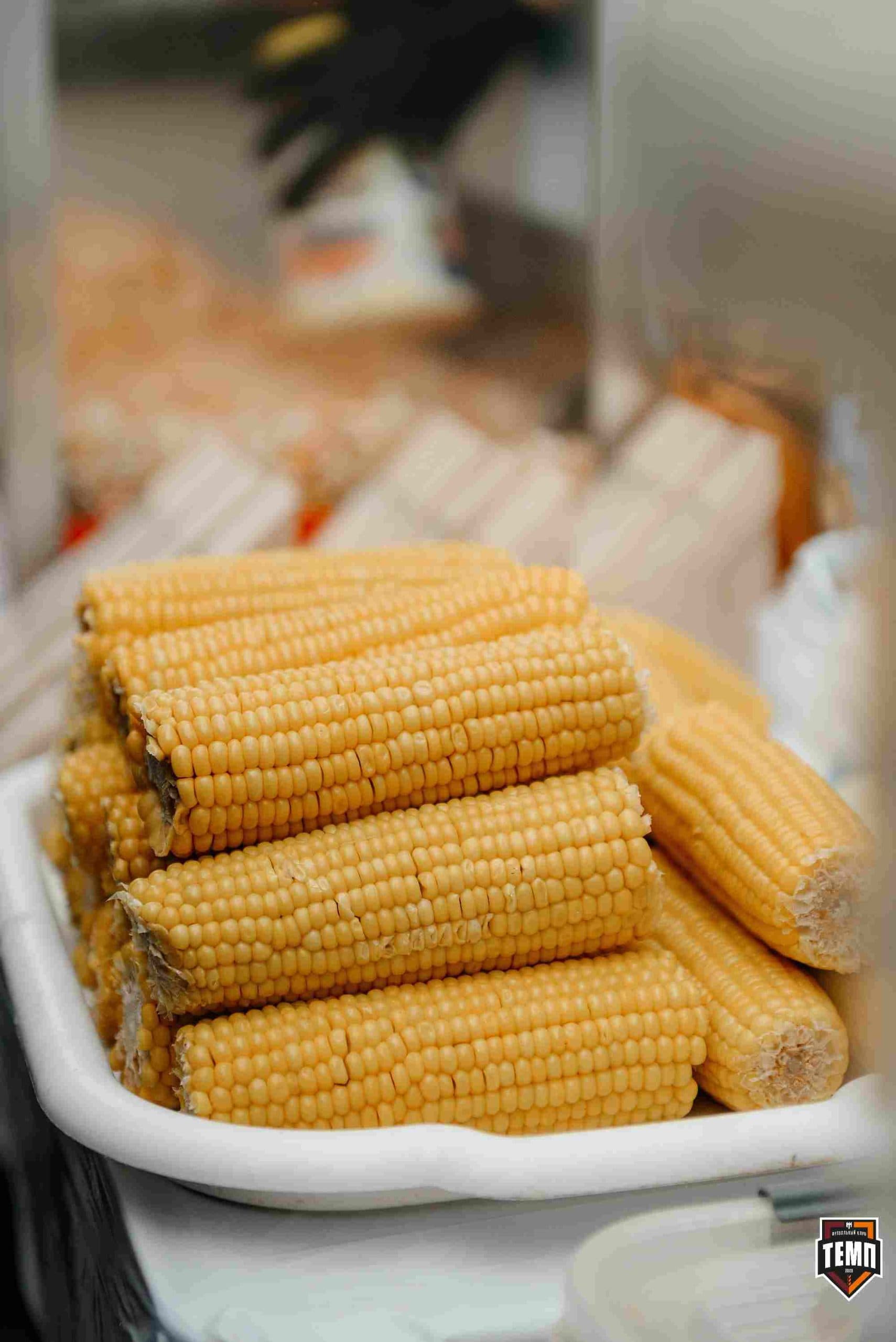 «Темп» 0:1 «Знамя Труда». FONBET Кубок России. 10.09.2025 — кадр 69