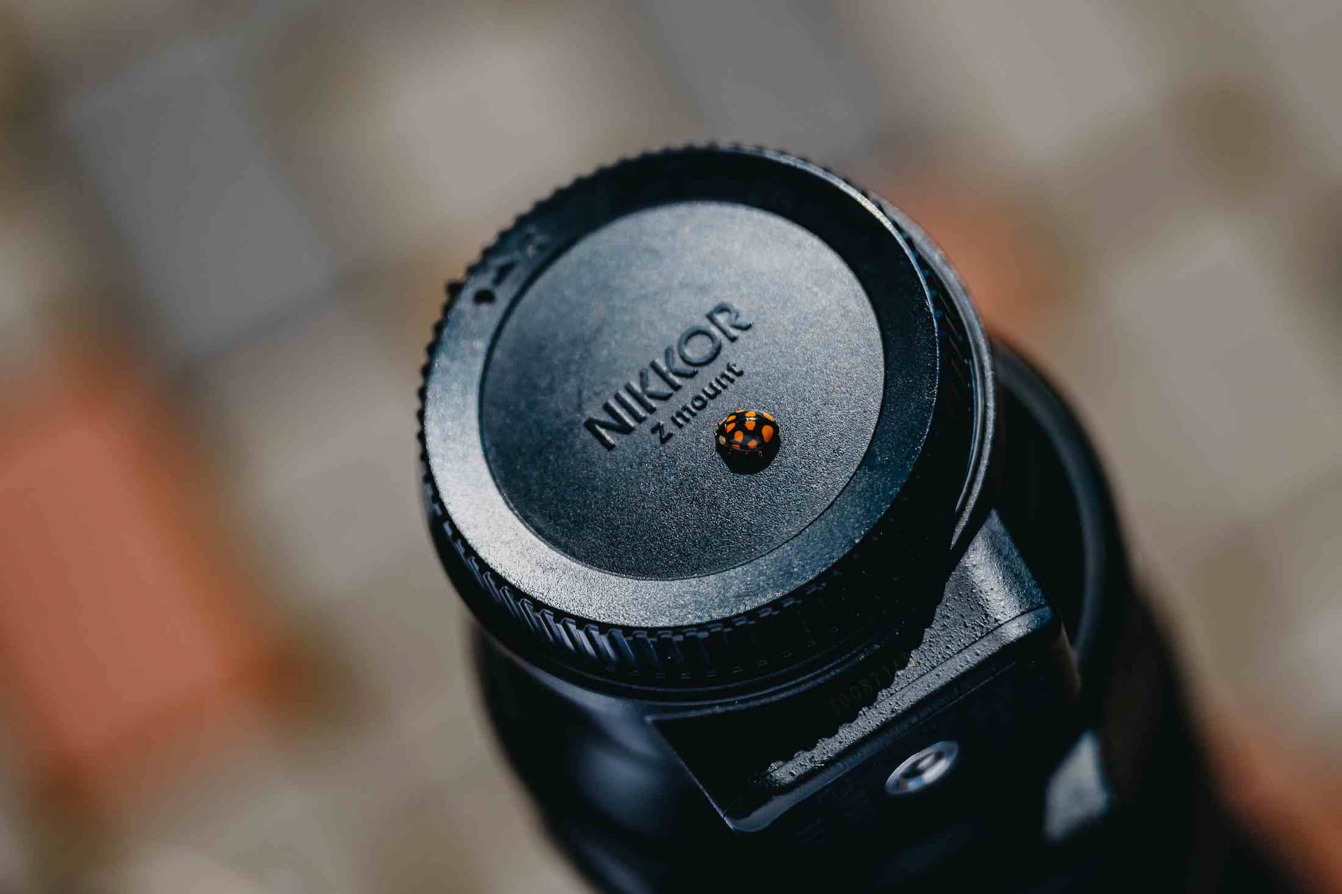 «Чита» 1:4 «Темп». Кубок Сибири. 20.09.2025. Дмитрий Поливода и Александр Чёрный — кадр 123