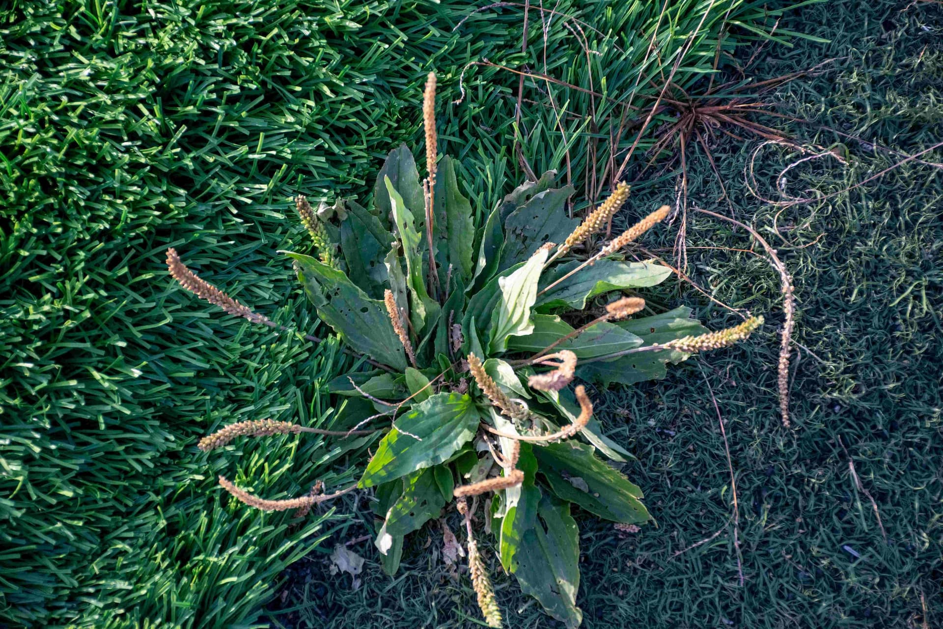 «Чита» 2:2 «Темп». Третья лига. 14.09.2024. Пресс-служба «Читы» — кадр 59