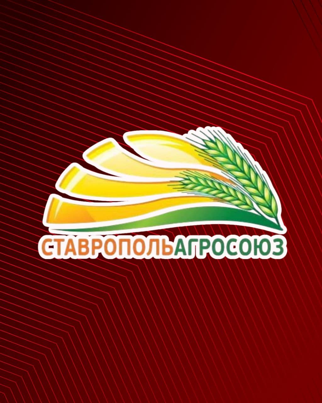 Представляем соперника: «СтавропольАгроСоюз» (Невинномысск)